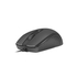 Natec Hoopoe USB Mouse - Natec - 5901969431681
