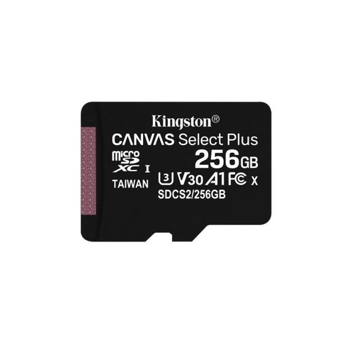 Kingston 256GB Class 10 MicroSD Card - Kingston - 7406172987102